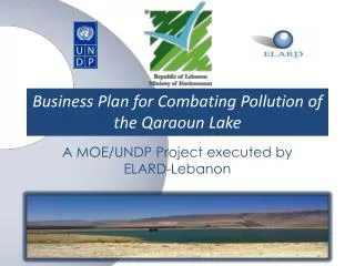 Business Plan for Combating Pollution of the Qaraoun Lake