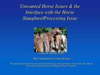 Unwanted Horse Issues &amp; the Interface with the Horse Slaughter/Processing Issue