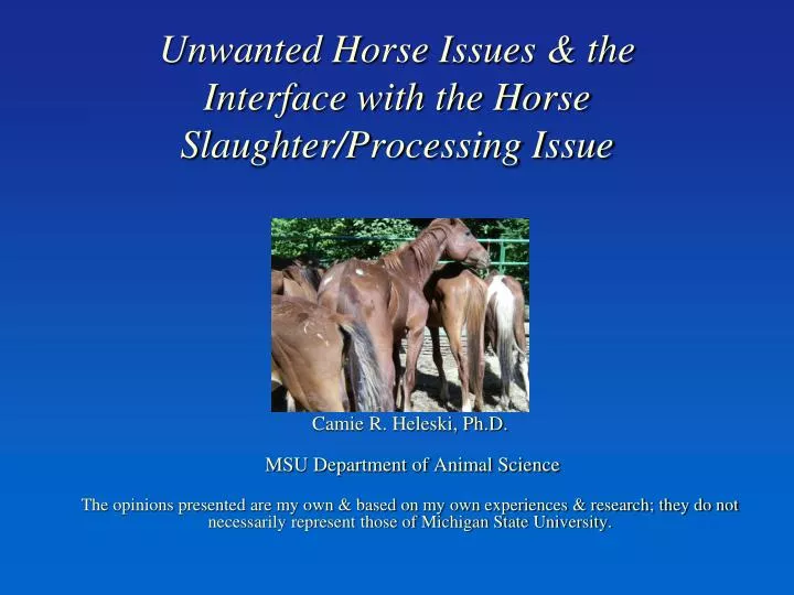 unwanted horse issues the interface with the horse slaughter processing issue