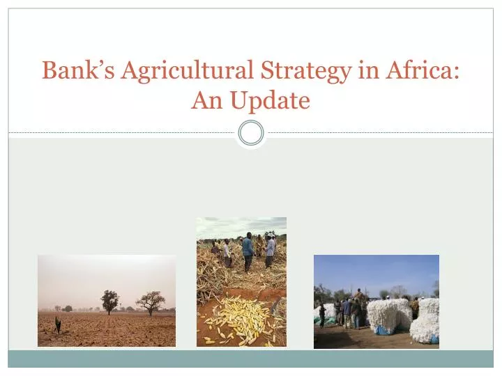 bank s agricultural strategy in africa an update