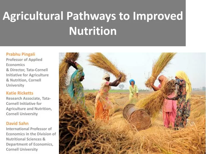 agricultural pathways to improved nutrition