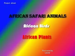 African Safari Animals