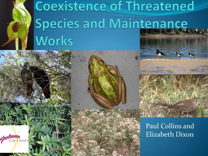 coexistence of threatened species and maintenance works