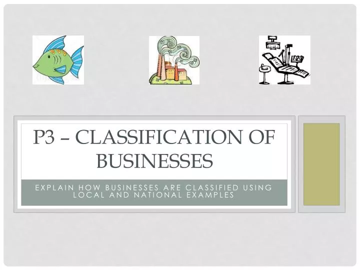 p3 classification of businesses
