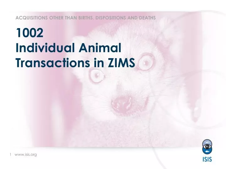 1002 individual animal transactions in zims