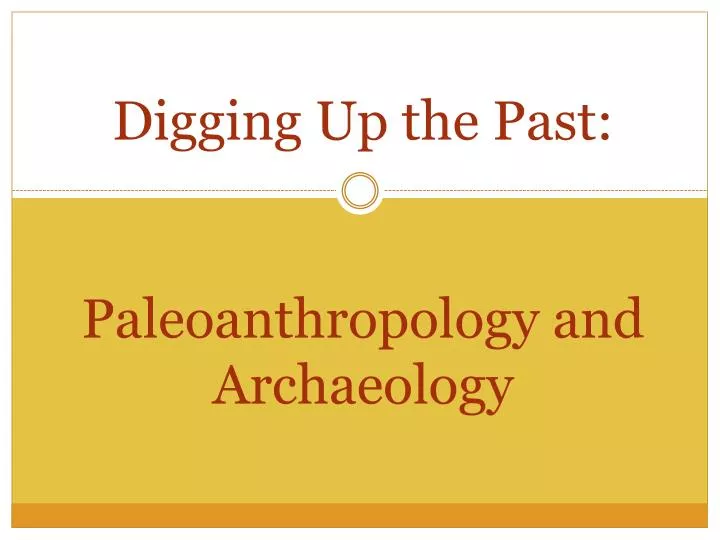 digging up the past paleoanthropology and archaeology
