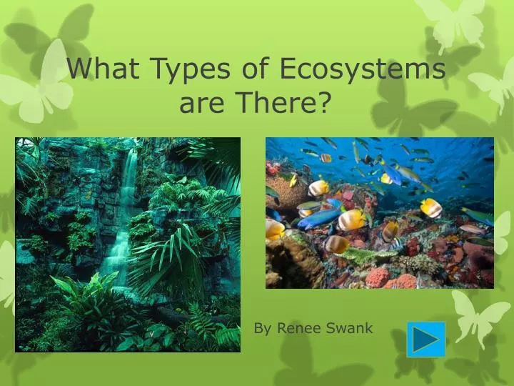 what types of ecosystems are there