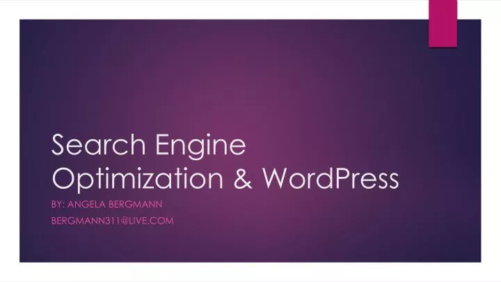 search engine o ptimization wordpress