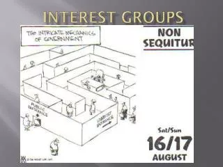 Interest Groups