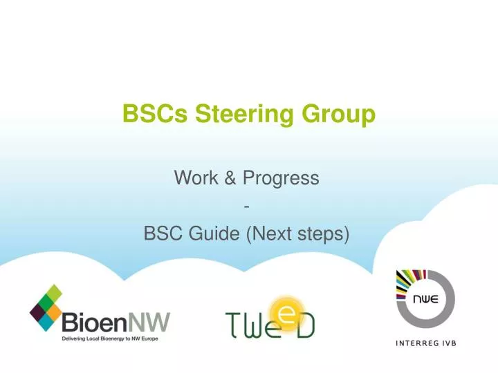bscs steering group