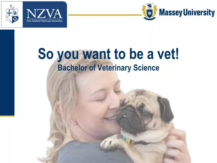so you want to be a vet bachelor of veterinary science