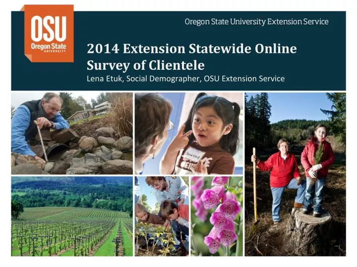 2014 extension statewide online survey of clientele