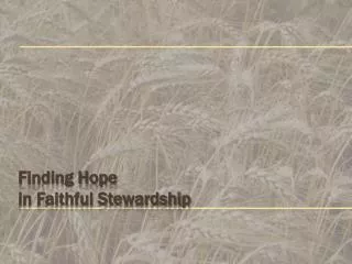 Finding Hope in Faithful S tewardship