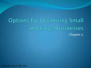 Options for Organizing Small and Large Businesses