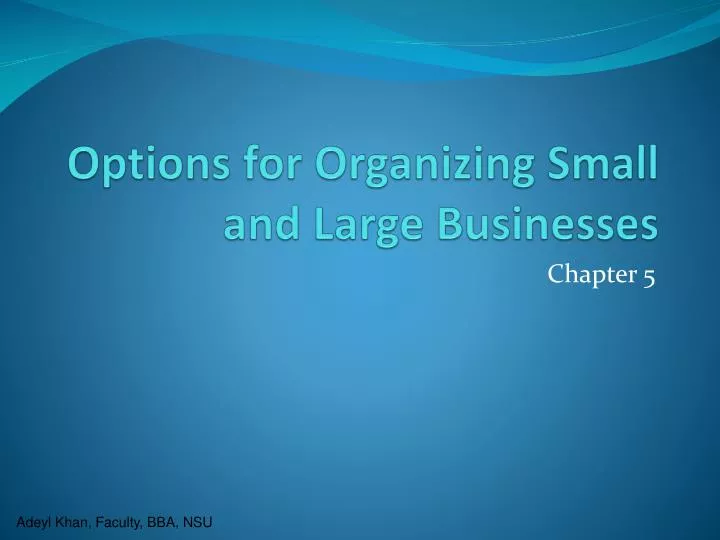 options for organizing small and large businesses