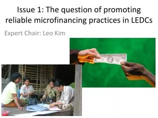 Issue 1 : The question of promoting reliable microfinancing practices in LEDCs