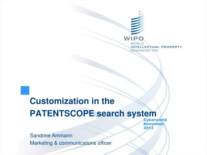 customization in the patentscope search system