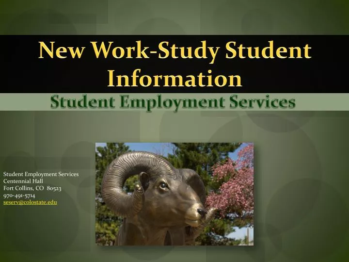 new work study student information