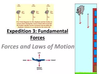 Expedition 3: Fundamental Forces