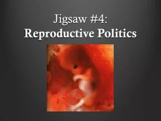 Jigsaw #4: Reproductive Politics