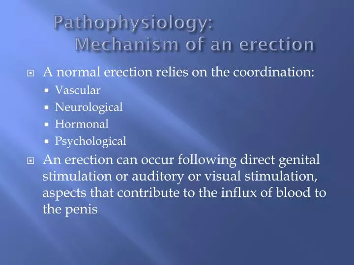pathophysiology mechanism of an erection
