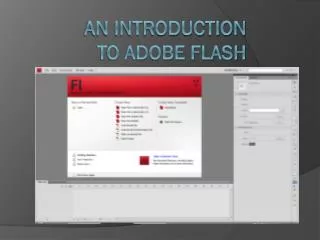 An Introduction to Adobe Flash