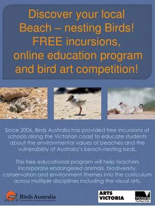 Discover your local Beach – nesting Birds! FREE incursions, online education program and bird art competition!