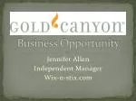 Business Opportunity - slide 1