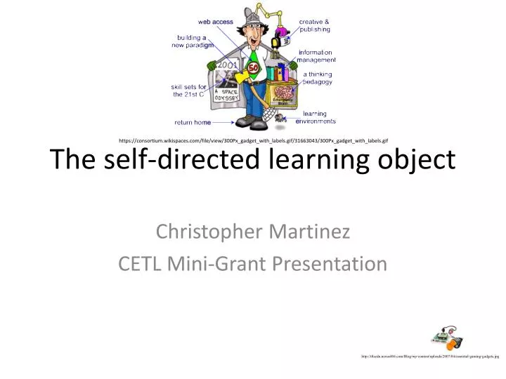 the self directed learning object