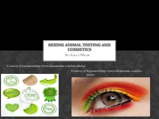 Mixing animal testing and cosmetics