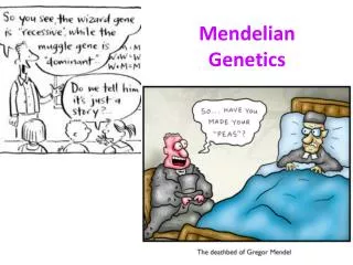 Mendelian Genetics