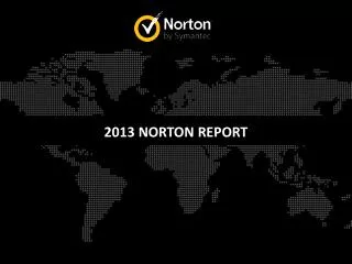 2013 NORTON REPORT