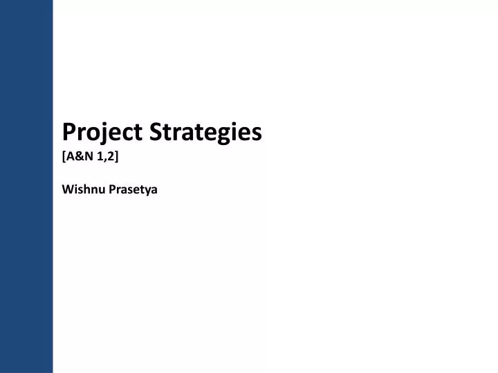 project strategies a n 1 2 wishnu prasetya
