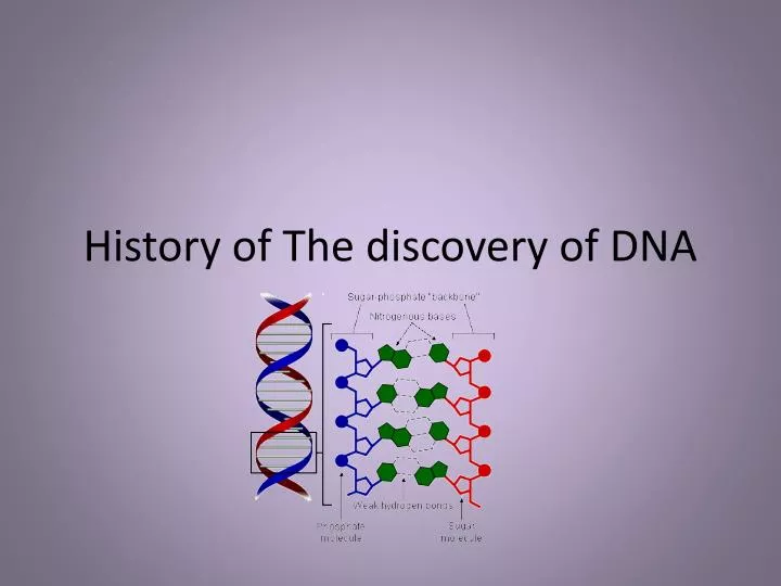 history of the discovery of dna