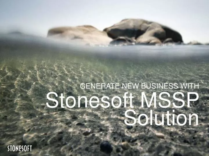 stonesoft mssp solution