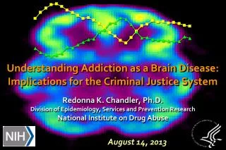 Understanding Addiction as a Brain Disease: Implications for the Criminal Justice System
