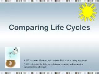 comparing life cycles