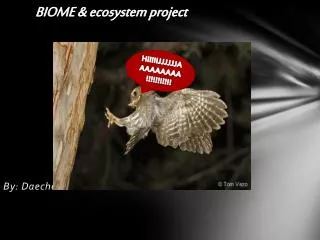 BIOME &amp; ecosystem project By: Daechelle Green