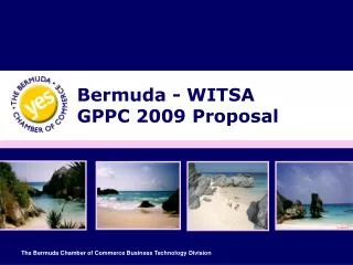 Bermuda - WITSA GPPC 2009 Proposal