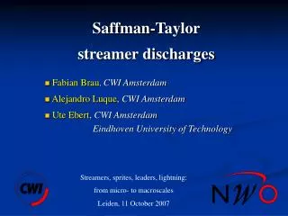 Saffman-Taylor streamer discharges