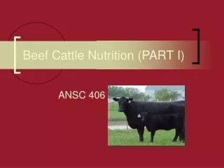 Beef Cattle Nutrition (PART I)