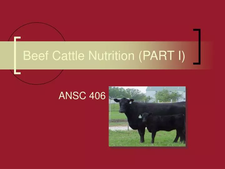 beef cattle nutrition part i
