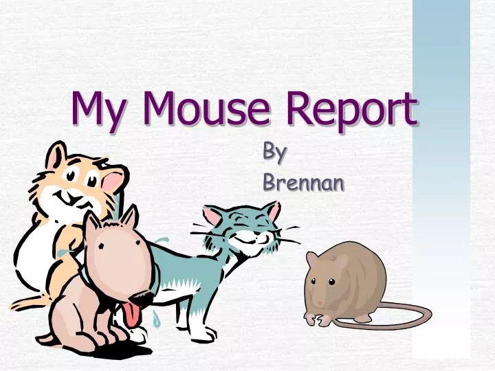 my mouse report