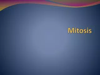 mitosis