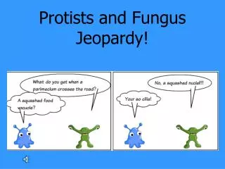 Protists and Fungus Jeopardy!