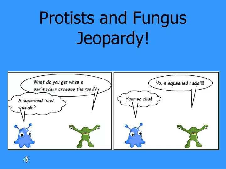 protists and fungus jeopardy
