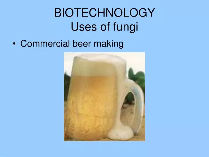 biotechnology uses of fungi