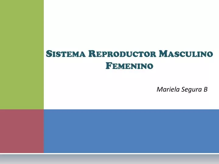 sistema reproductor masculino femenino