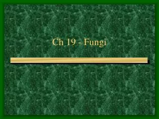 Ch 19 - Fungi