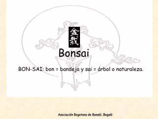 bonsai